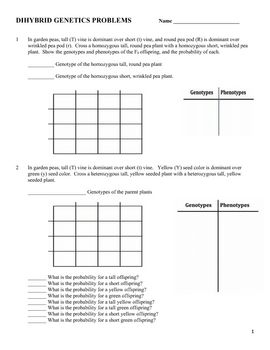 Punnett Square Practice Worksheet With Answers Pdf