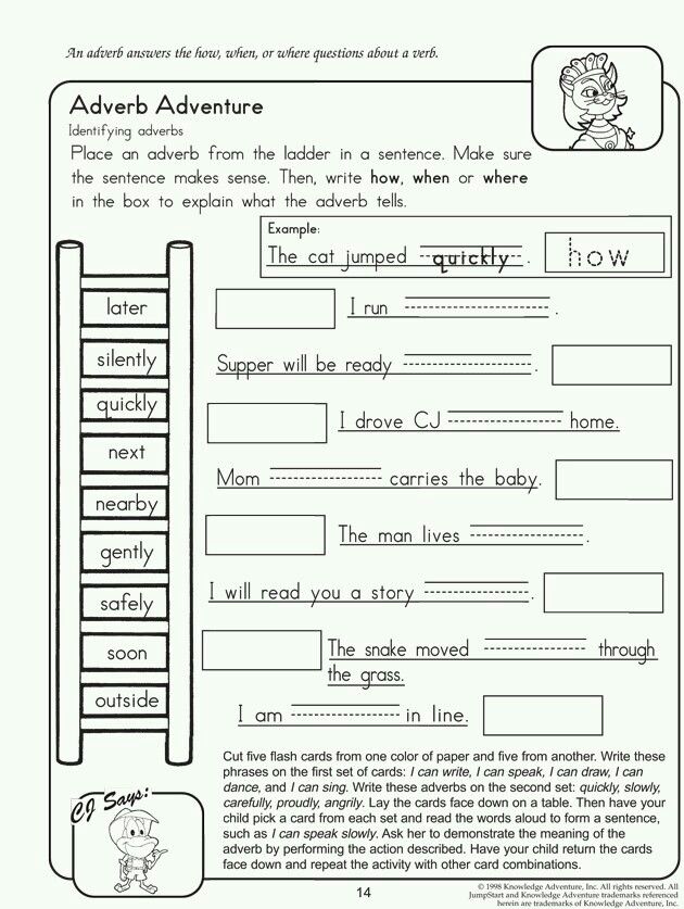 Adverbs Of Frequency Worksheets For Grade 5