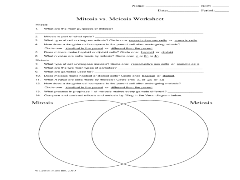 Meiosis Practice Worksheet Fill In The Blank Answers