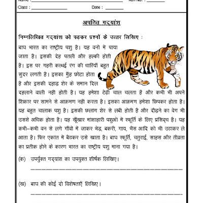 Comprehension For Class 4 In Hindi