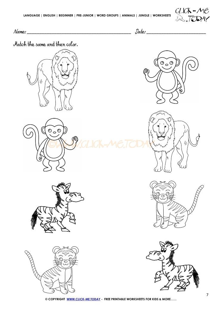 Animals Worksheet