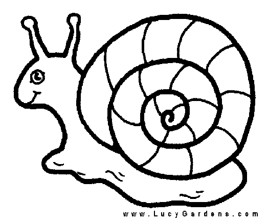 Snail Coloring Page