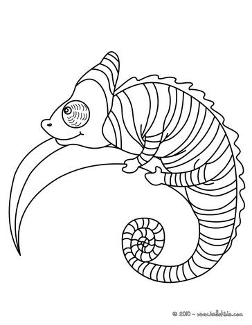 Chameleon Coloring Page