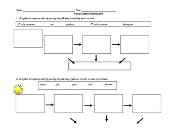 Food Webs And Food Chains Worksheet Answers