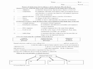 Evolution By Natural Selection Worksheet