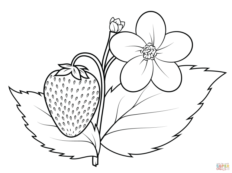 Plant Coloring Pages