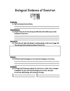 Types Of Natural Selection Worksheet