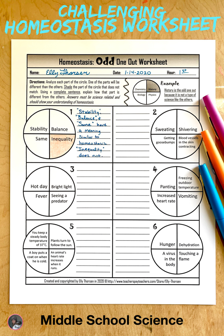 Homeostasis Worksheet