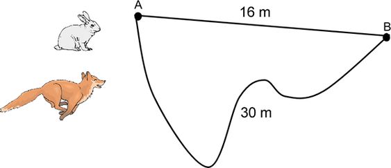 Distance And Displacement Worksheet Answers