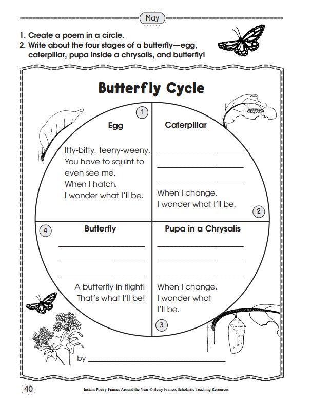 Butterfly Life Cycle Worksheet Free