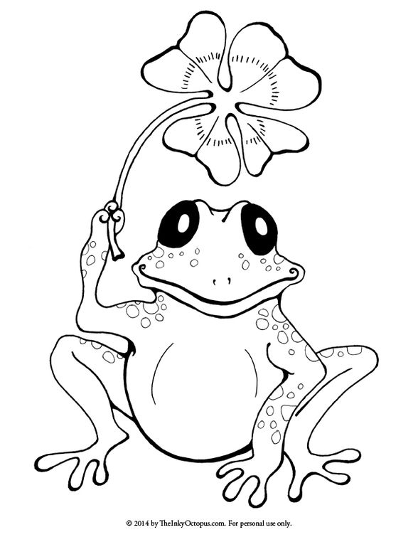 Frog Coloring Page