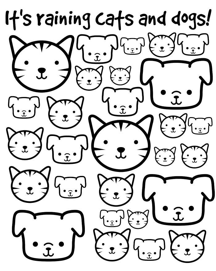 Cat And Dog Coloring Pages