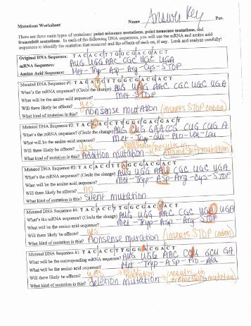 Dna Fingerprinting Worksheet Key