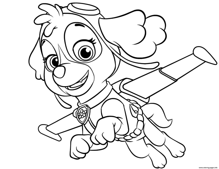 Paw Patrol Coloring Book