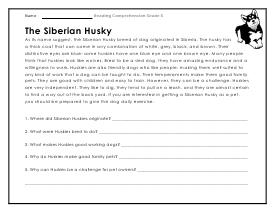 Year 5 Reading Comprehension Worksheets