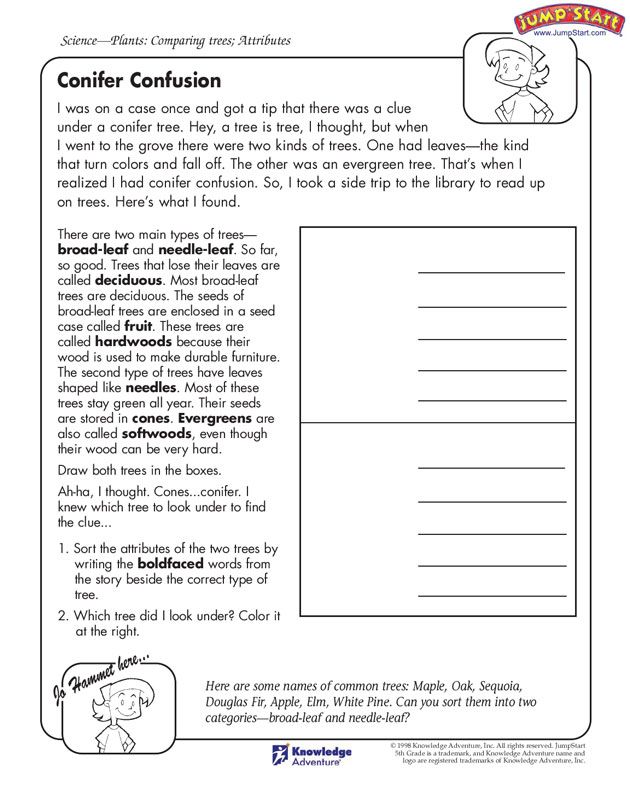 5th Grade Science Worksheets With Answer Key