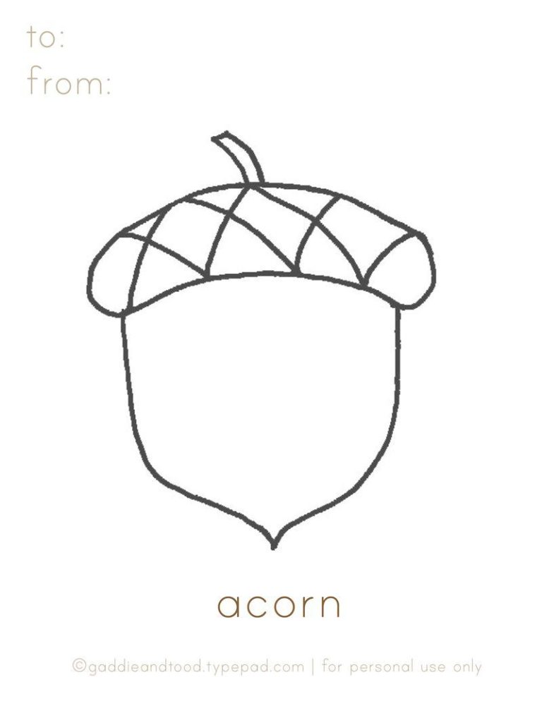 Acorn Coloring Pages