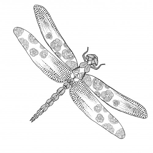 Dragonfly Coloring Page