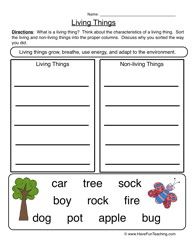 Living Things And Non Living Things Worksheet For Grade 2