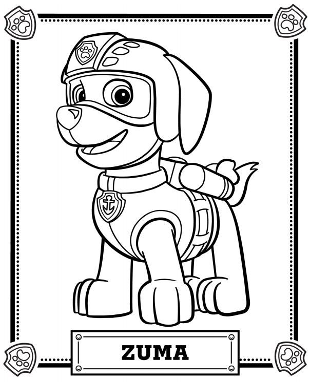 Paw Patrol Coloring Pages Zuma