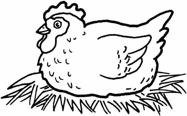 Chicken Coloring Pages