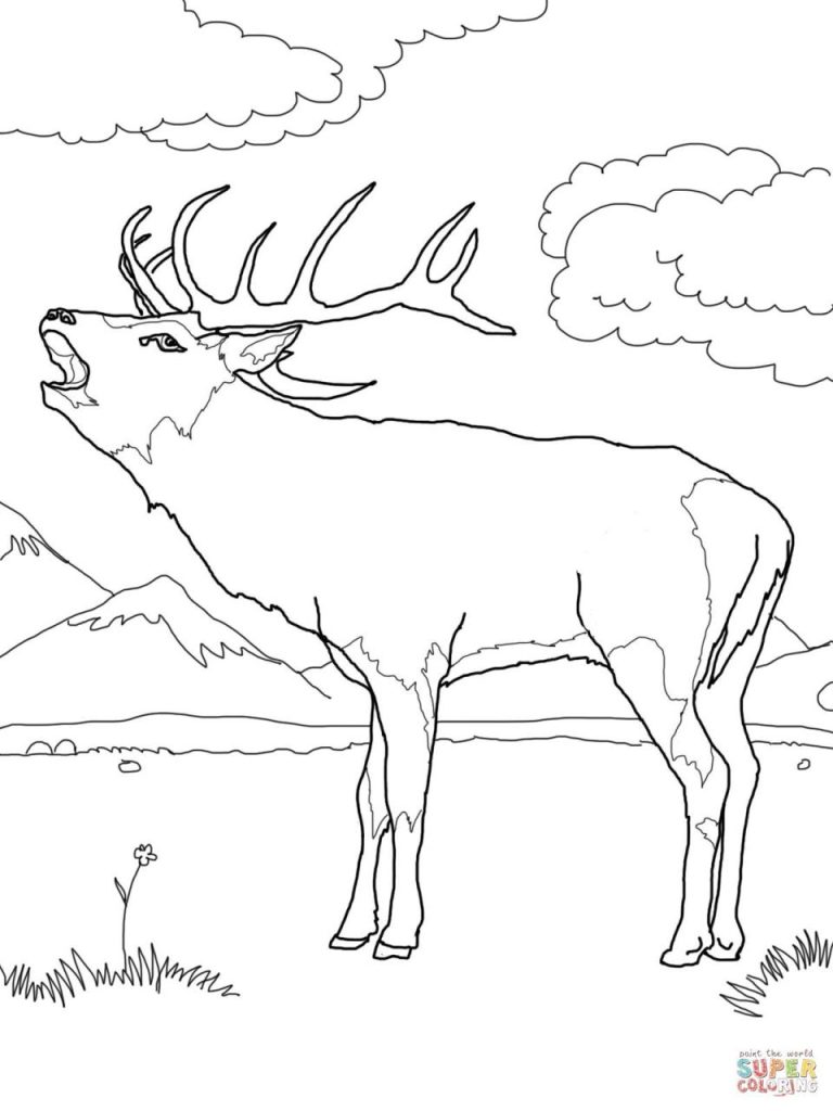 Deer Coloring Pages