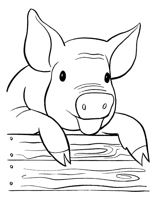 Year Of The Pig Coloring Page