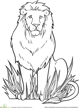 Lion Colouring