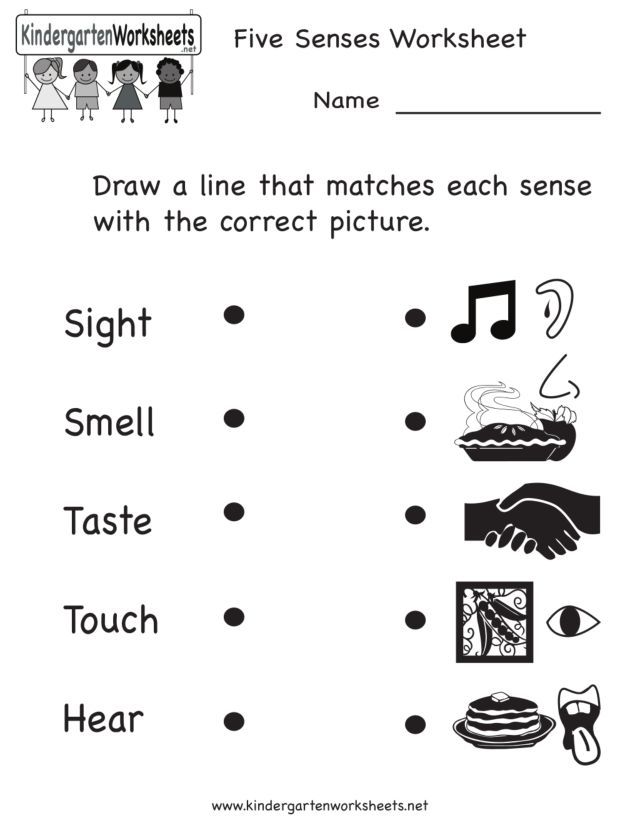 Five Senses Worksheets 2nd Grade