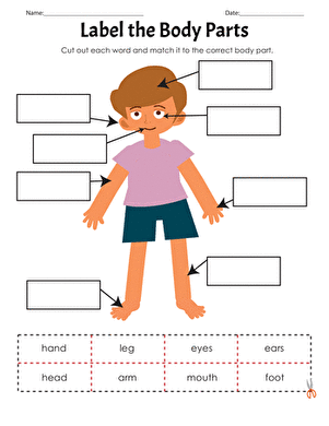 Body Part Worksheets For Kids