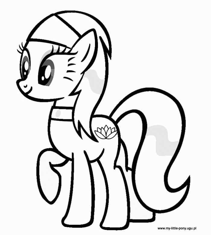 Pony Coloring