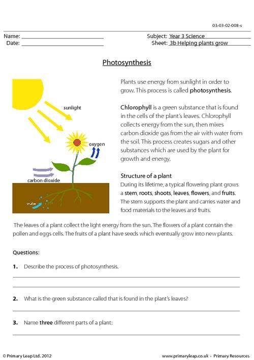 Photosynthesis Worksheet For Kids