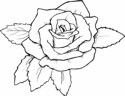 Rose Flower Coloring Pages