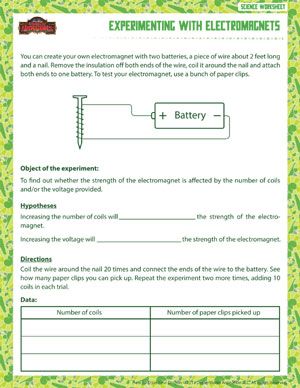 6th Grade Class 6 Science Worksheets