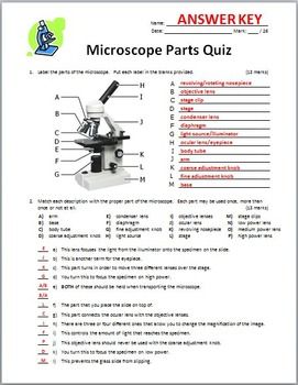 Microscope Worksheet Pdf