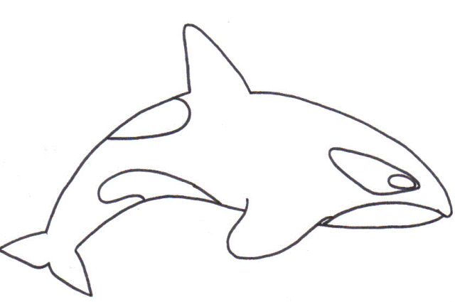 Orca Coloring Pages