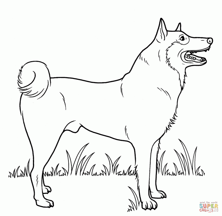 Super Coloring Pages Dogs