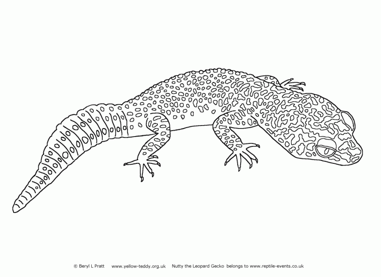 Gecko Coloring Page