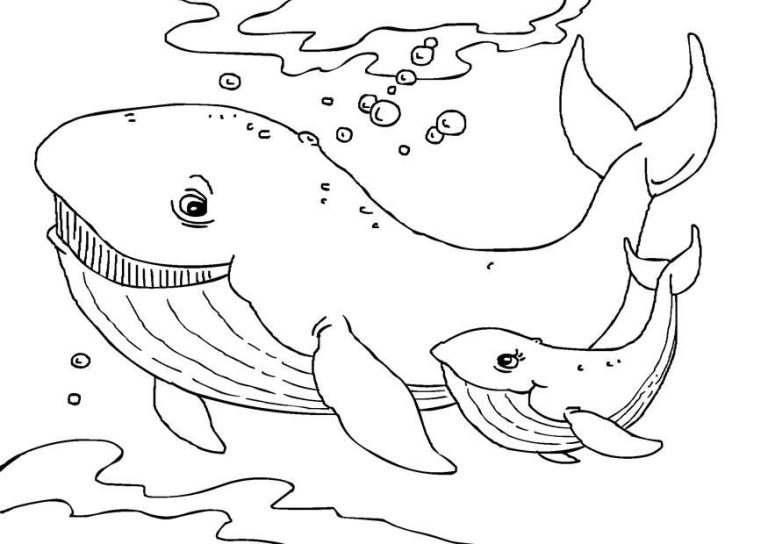 Whale Coloring Pages