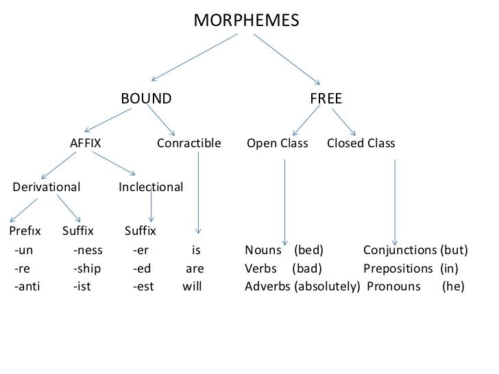 Conditional Probability Tree Diagram Worksheet