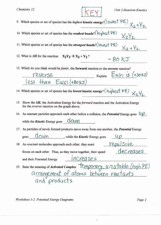 Potential Energy Diagram Worksheet Pdf