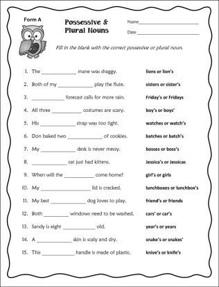 Irregular Plural Nouns Worksheet Grade 3