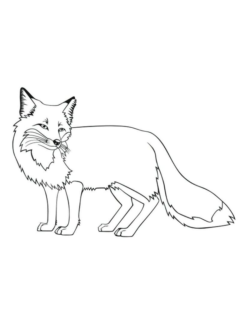 Fox Coloring Pages Free