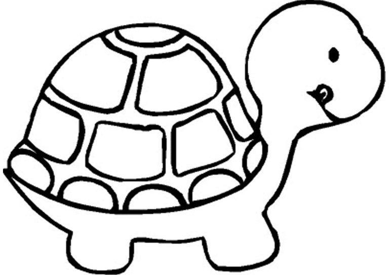 Turtle Coloring Pages For Preschoolers