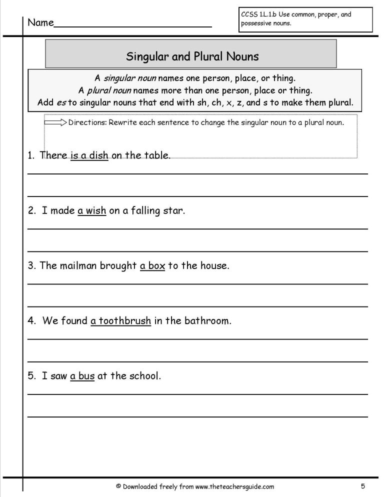 Singular And Plural Nouns Sentences Worksheets