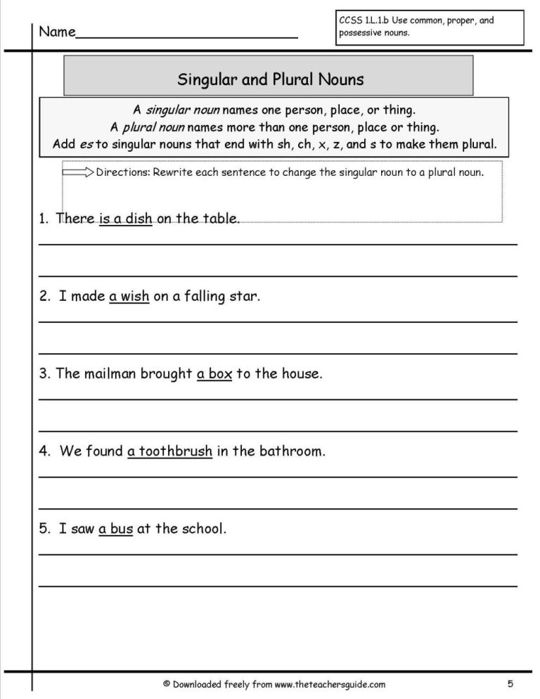 Singular Plural Worksheet For Grade 5