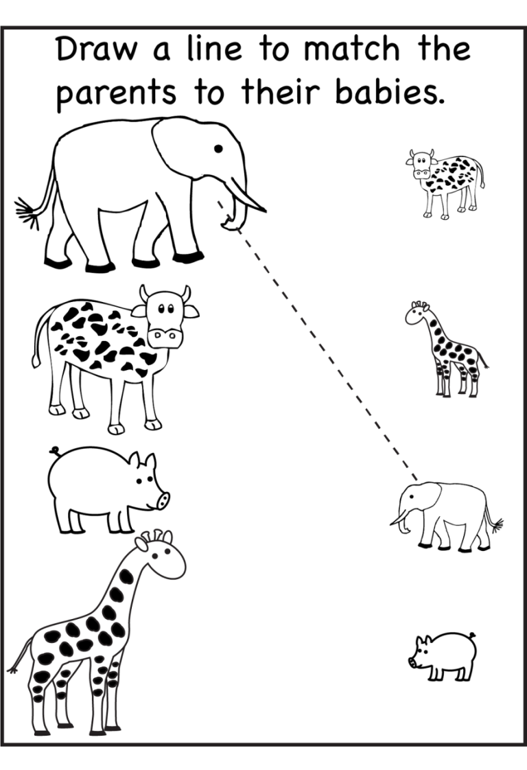 Kids Activity Sheets