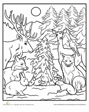 Forest Coloring Pages