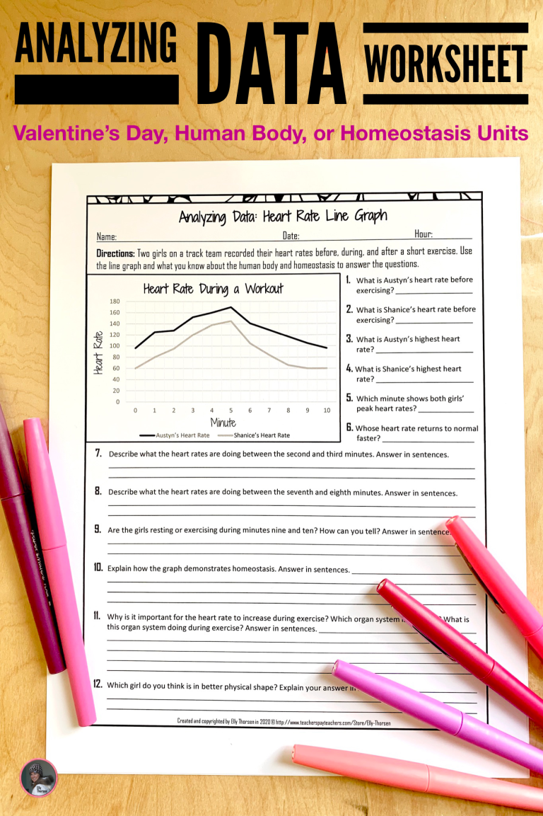 Homeostasis Worksheet Graph