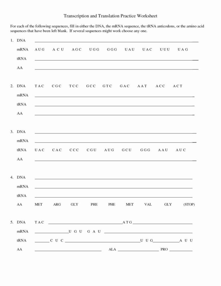 Translation Worksheet Biology